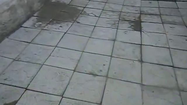 п-к Роман-Кош.Дети Роман-Кош Баттерфляй РК Ореанда и Октава 45 дн. Роман-Кош Моррис Мондеаль 10 смотреть онлайн