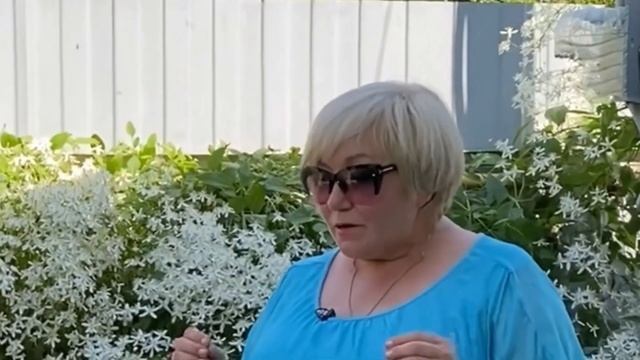 НЕЖНЫЕ КЛЕМАТИСЫ смотреть онлайн