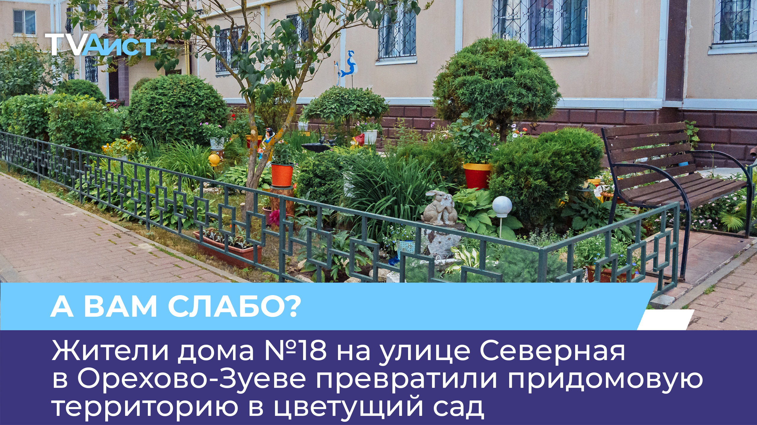 Жители дома №18 на улице Северная в Орехово-Зуеве превратили придомовую территорию в цветущий сад