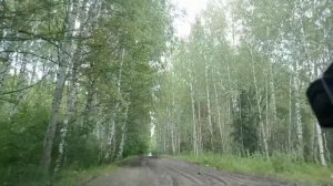 Дорога в Заполинку Сокольский район Нижегородская область
