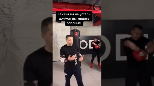 Хороший боксер должен оставаться опасным в любом состоянии смотреть онлайн