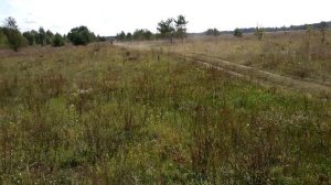 Воскресенье 3.09.17 на Багги _R481 TWIN_