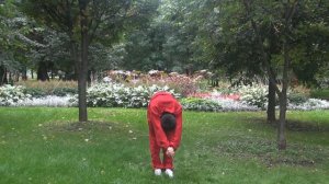 Комплекс цигун  Синг Шен Джуан (Xing Shen Zhuan). Мастер Ли Минь. ХэДао