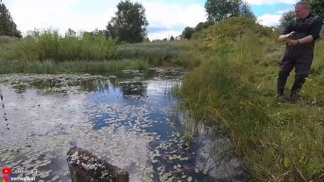 Пруд на даче. Поехали на рыбалку на заброшенный пруд. Находки в пруду! Ставим вершу. ЧАСТЬ 1.