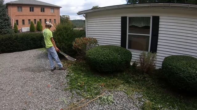 CRAZY Before/After! | Timelapse Hedge trimming | HCS 4020 смотреть онлайн