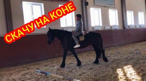 СКАЧУ НА КОНЕ В ПЕРВЫЙ РАЗ В ТАМБОВСКОЙ ОБЛАСТИ