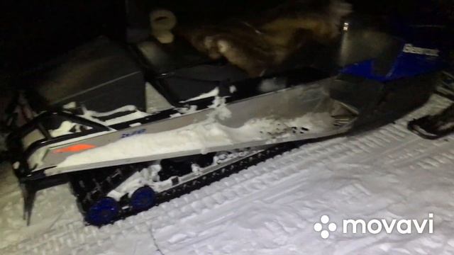 Первые впечатления от Arctic cat bear cat 570 xt, для чего и для кого он сделан и для каких задач