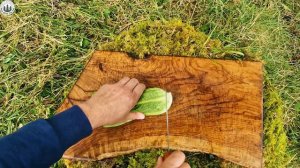 Fried Chicken Crunchiness ASMR cooking