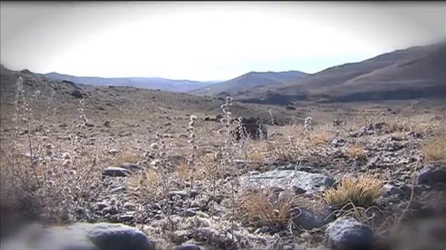 Сибирь : Сон Бога. Золотой запас России