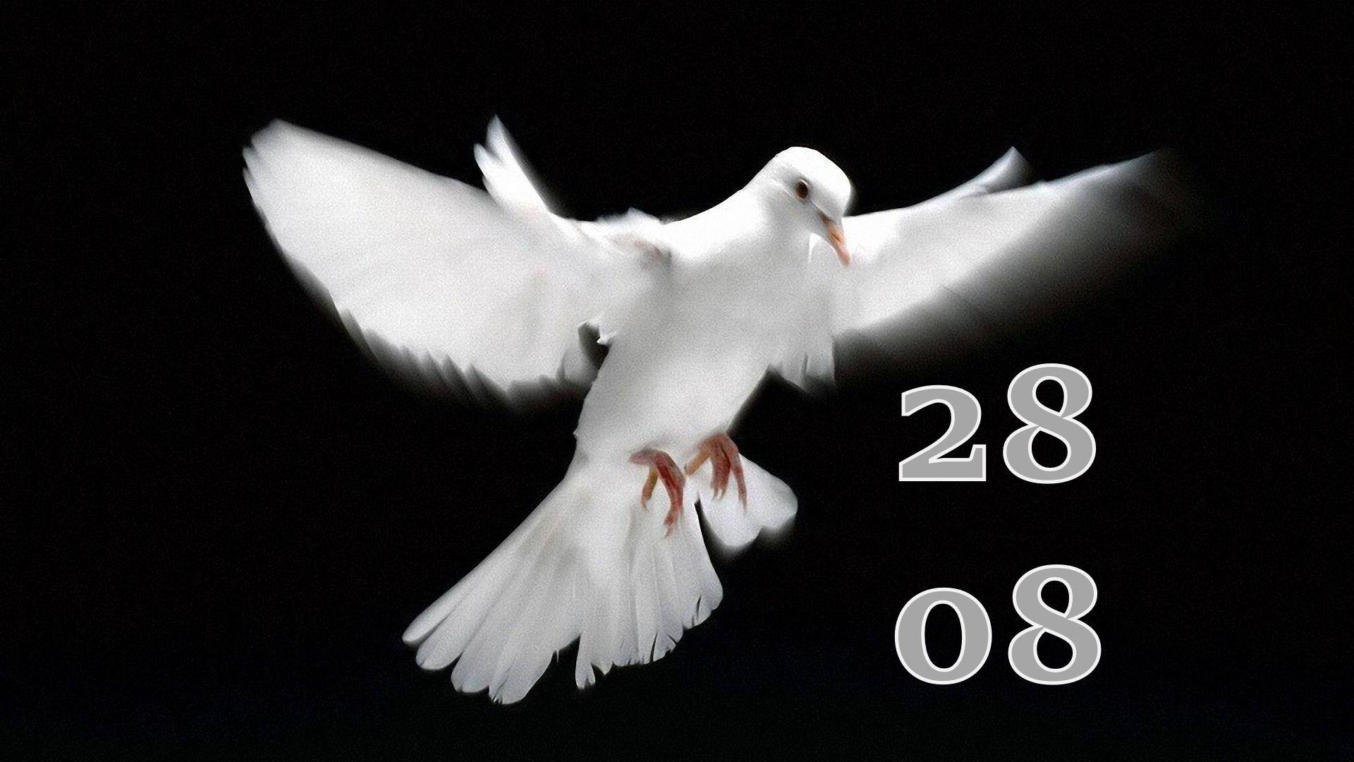 28.08.2024 смотреть онлайн