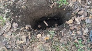 Ака вектор 7262м Тест металлоискателя, 3 копейки 1911г. Интроник своего времени))