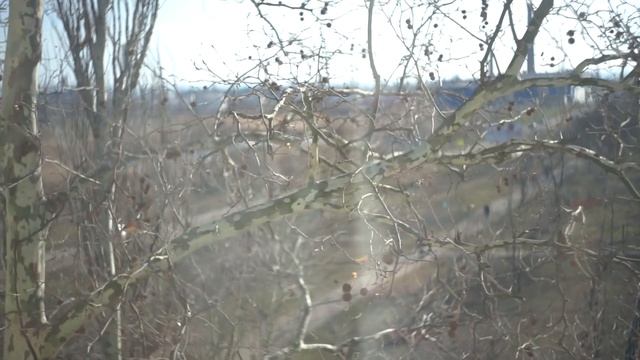 Дела, которые приносят радость | Медленная жизнь