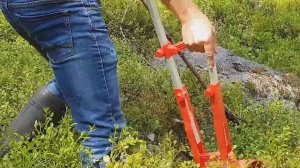 Комбайн для сбора ягод без наклонов и усилий..mp4