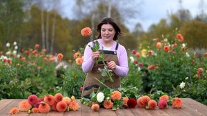 Фильм "Все начинается с идеи" создан для канала "Юлина ферма"