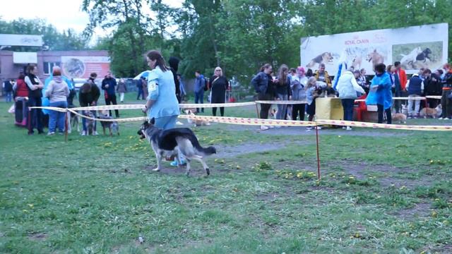28.05.2022 Моно ВЕО Челябинск Класс промежуточный РА Ласка смотреть онлайн