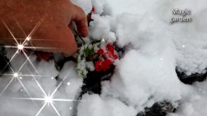 Первый снег - Музыка Андрея Обидина. Музыка для души.