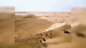Пустыня в Китае за 60 лет превратилась в зеленый оазис