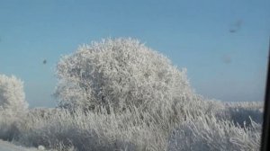 Красоты Сибири.mp4