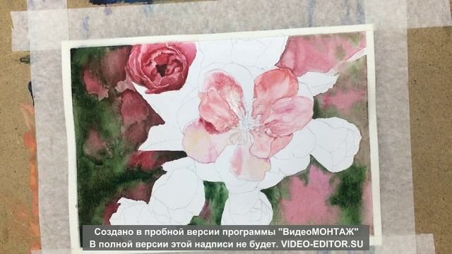 Мастер класс по живописи.avi