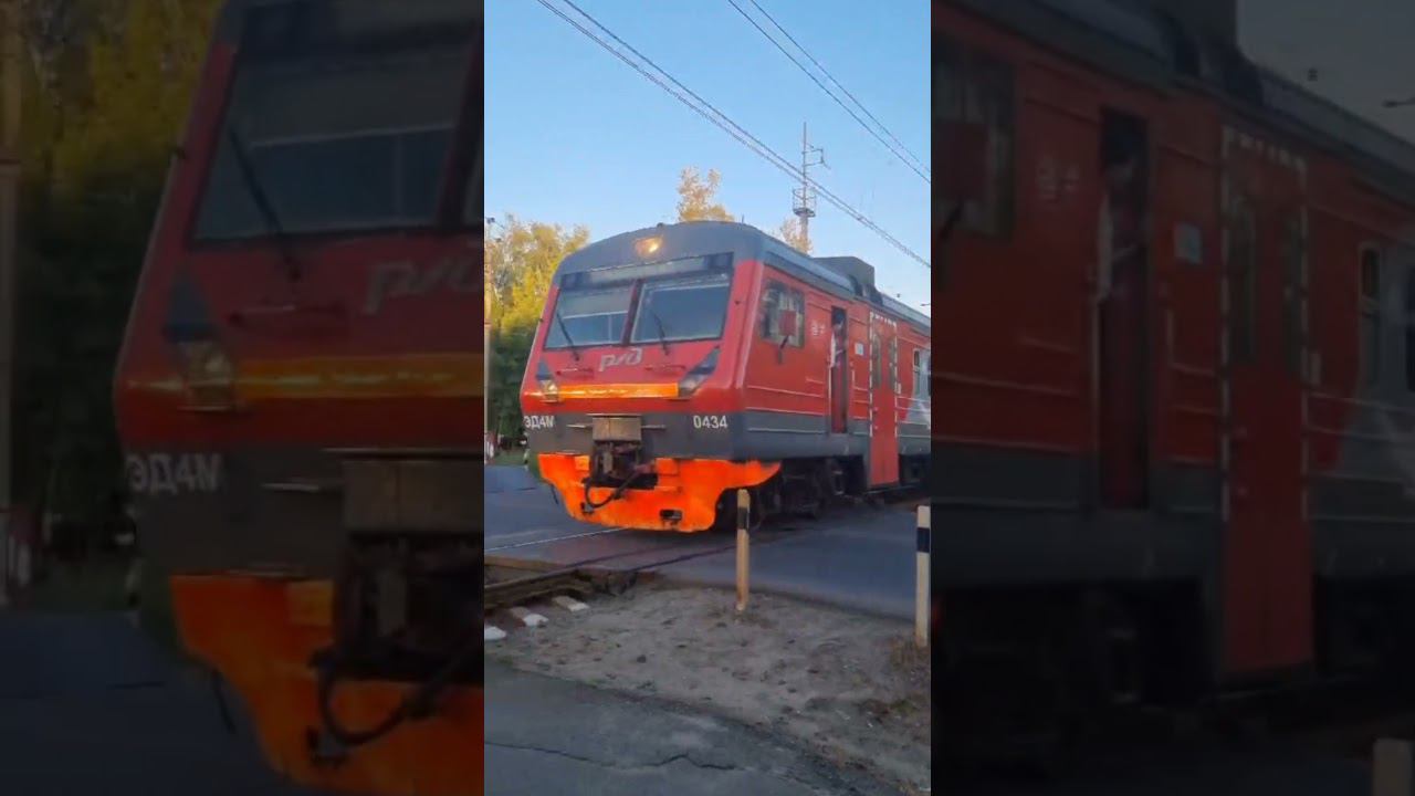Все Электрички которые ходят на МЦД-4 #эд4м #поезда #эп2д #иволга #электричка #железнаядорога #мцд смотреть онлайн