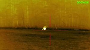 ОХОТА НА МЕДВЕДЯ / ТВЕРСКАЯ ОБЛАСТЬ