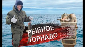 Настоящая морская рыбалка в Баренцевом море. Ловля трески. Отдых и развлечения в Мурманске.