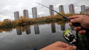 Нашел место с кучей рыбы! Рекордный окунь, щука на микроджиг осенью? Shimano 21' Soare XR S76UL-T