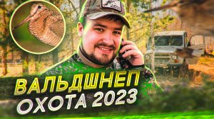 Охота на вальдшнепа 2023 VLOG