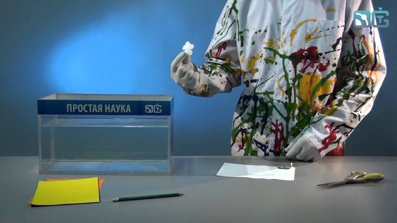 Книга 1 / Опыты с водой / 15 - Цветы на воде смотреть онлайн