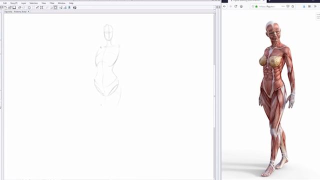 КАК Легче ВЫУЧИТЬ АНАТОМИЮ Художнику // Анатомия для художников // Как рисовать