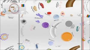 The Scale of the Universe 2 - Unfolded