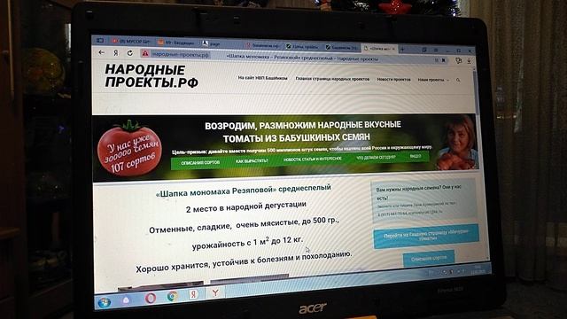 Обзор семян томатов для открытого грунта.Часть 2.БашИнком. #семенатоматов, #томаты,#помидоры.