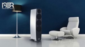 Greatest Audiophile Music for Sound Test - Hi Res Audio - Natural Beat Records