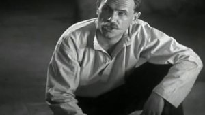 Василий Иваныч, а ты армией командовать могёшь?