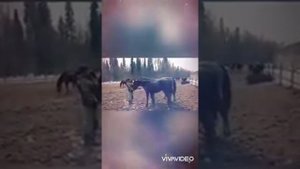 ПАНКРАТ АНДРЕЙ ЧЁРНЫЙ
