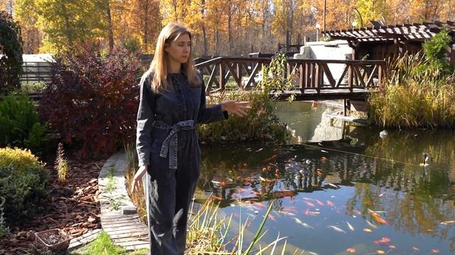 КАК Я ГОТОВЛЮ ПРУД К ЗИМЕ ПОЭТАПНО. КУДА РЫБ? смотреть онлайн