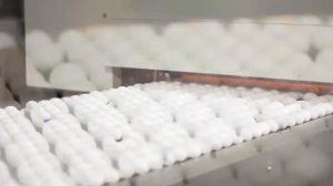 Агрокомплекс Оредеж. Все начинается с нас!