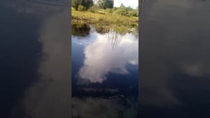 Обзор деревни Заполье)))😎