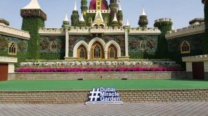 Dubai Miracle Garden. Цветочный парк в Дубае.