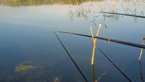 УТРЕННЯЯ РЫБАЛКА на КАРАСЯ. Летняя рыбалка на удочку.