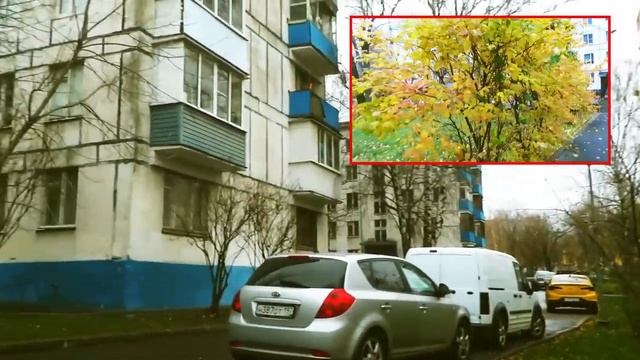 Почему я снимаю вертикальные ролики Видео.