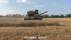 Комбайн Нива СК-5М-1. Когда комбайн в хороших руках. Уборочная 2022