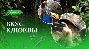 Вкус клюквы