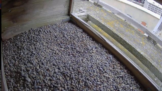 Camera 7 - 12/24/20 смотреть онлайн