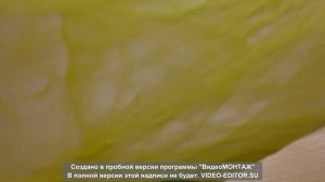 СЛАЙМ С ПЛЕСЕНЬЮ!