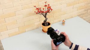 Обзор фотокамеры Sony RX10 IV с 25-кратным зум-объективом