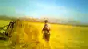 т25 кун грузим сено