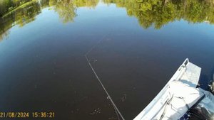 Август 2024г. Каменное.