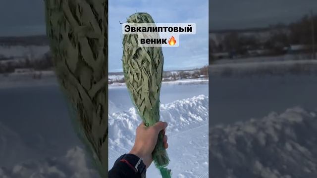 Эвкалиптовый веник. Веники для бани