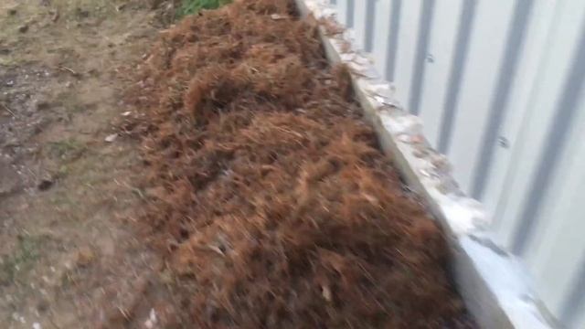 Укрытие растений на зиму смотреть онлайн